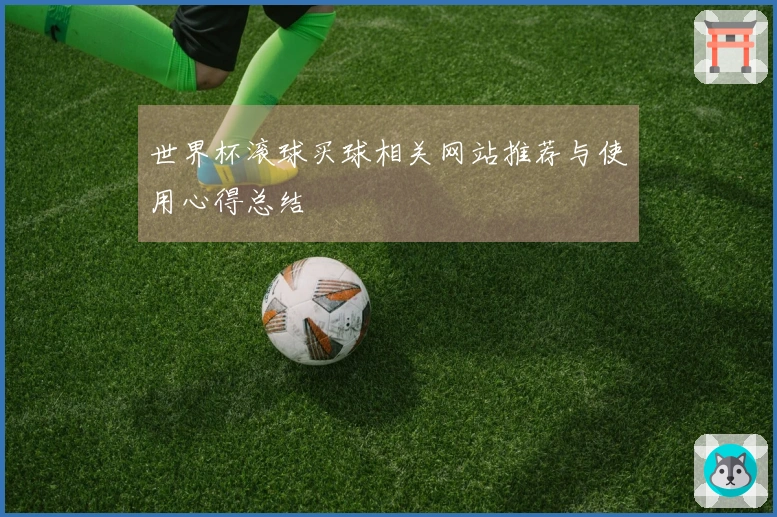 世界杯滚球买球相关网站推荐与使用心得总结