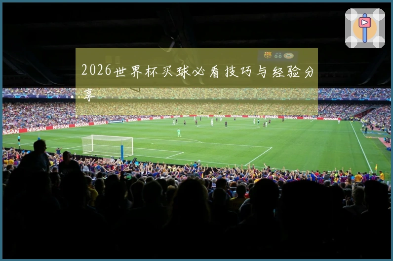 2026世界杯买球必看技巧与经验分享