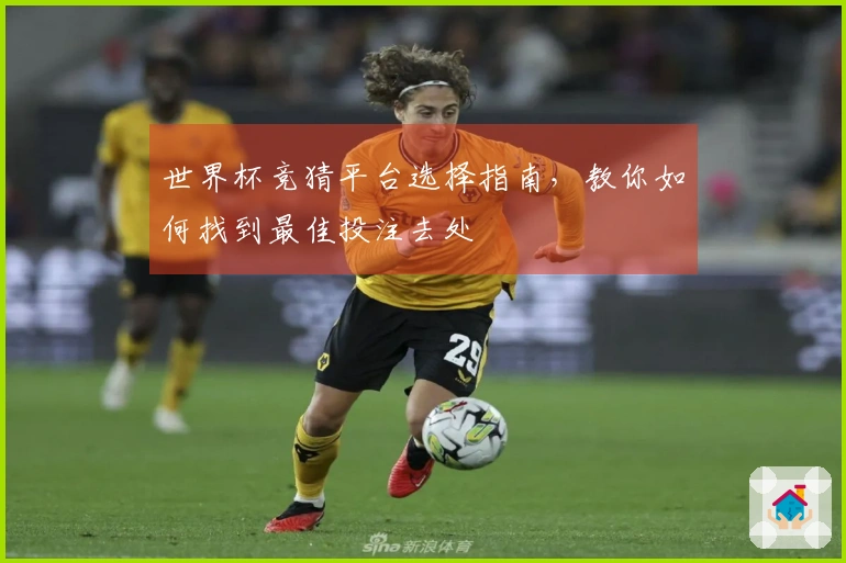 世界杯竞猜平台选择指南，教你如何找到最佳投注去处