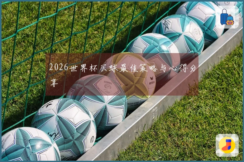 2026世界杯买球最佳策略与心得分享