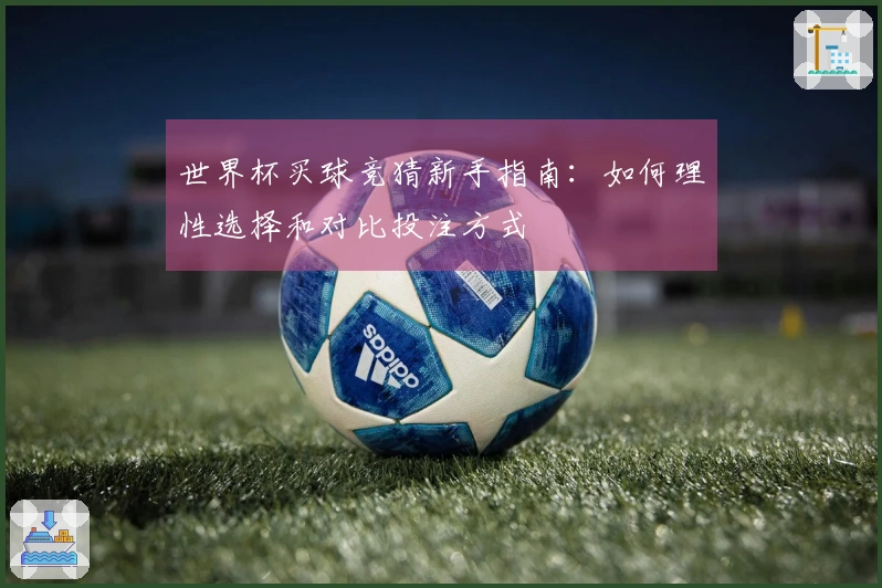 世界杯买球竞猜新手指南：如何理性选择和对比投注方式