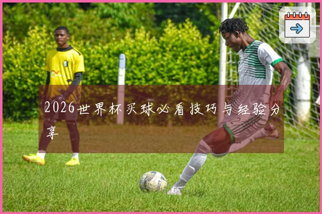 2026世界杯买球必看技巧与经验分享
