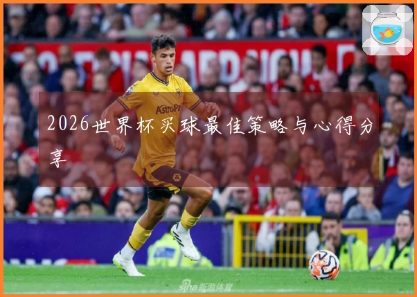 2026世界杯买球最佳策略与心得分享